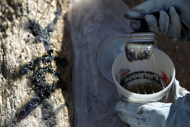 Saguaro National Park testing 'Elephant Snot' to remove cacti graffiti